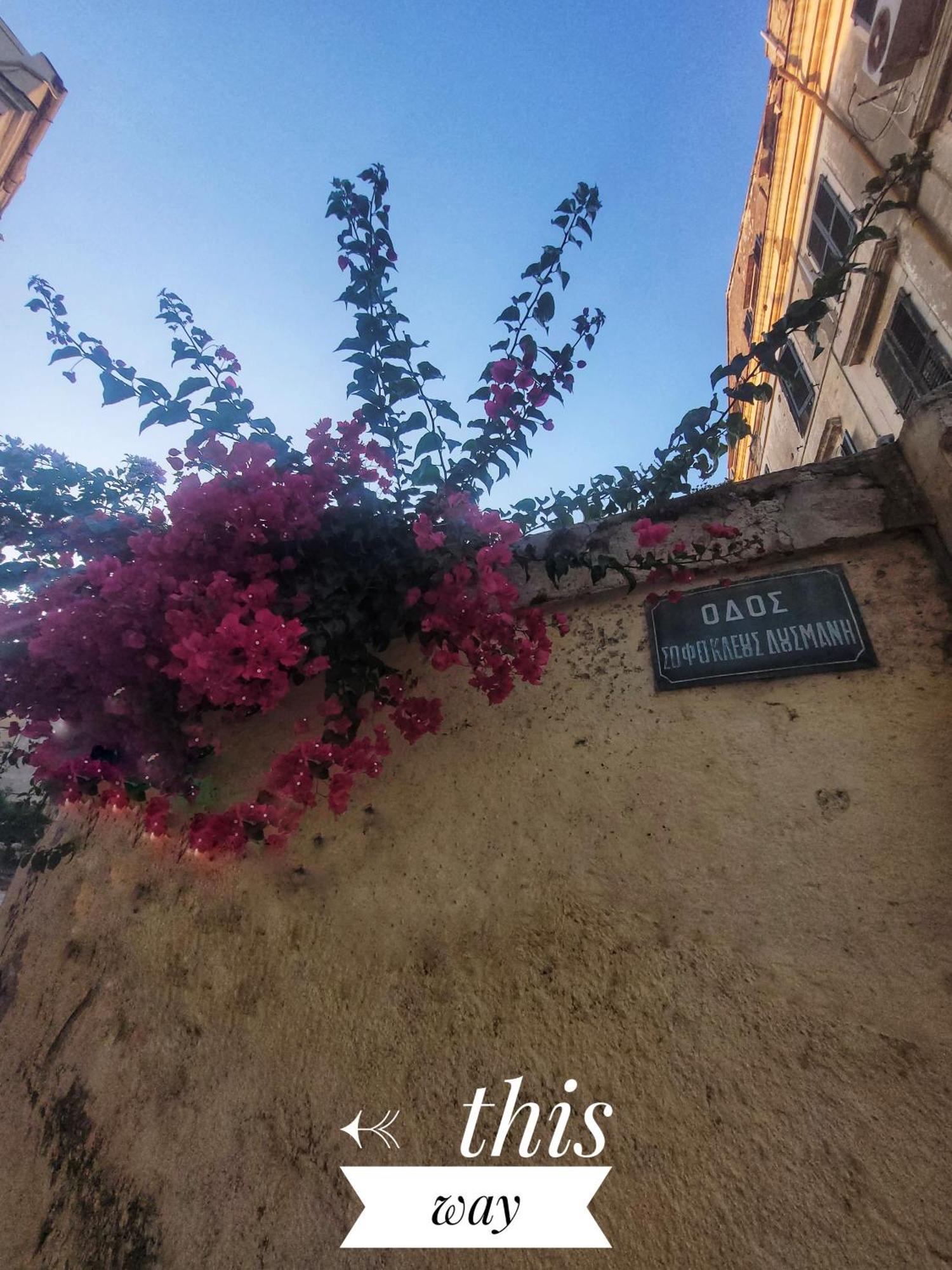 Nenas Volto Apartment Corfu  المظهر الخارجي الصورة